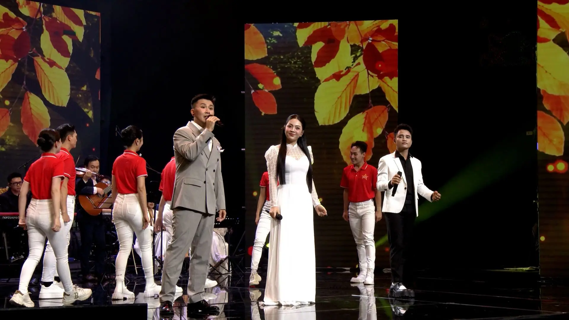 Tình ca tuổi trẻ